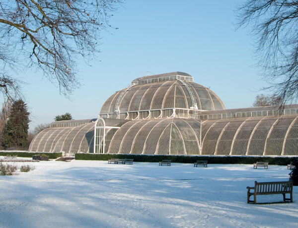kew gardens robe