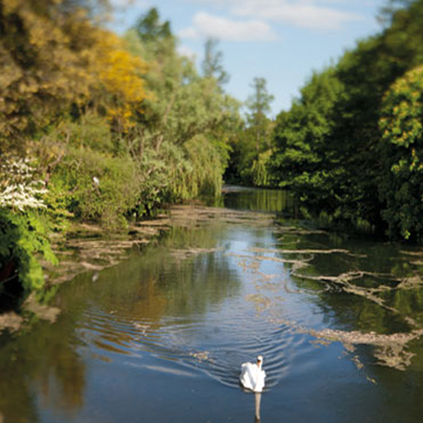 Syon Park