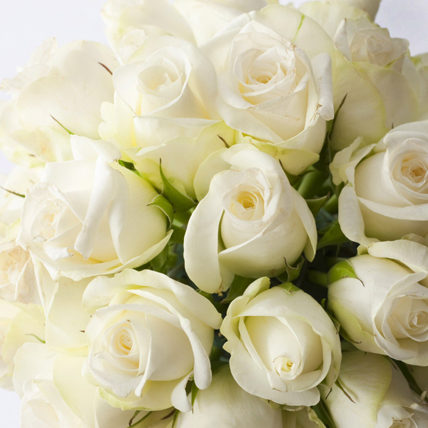 Weddings at Hilton London Syon Park